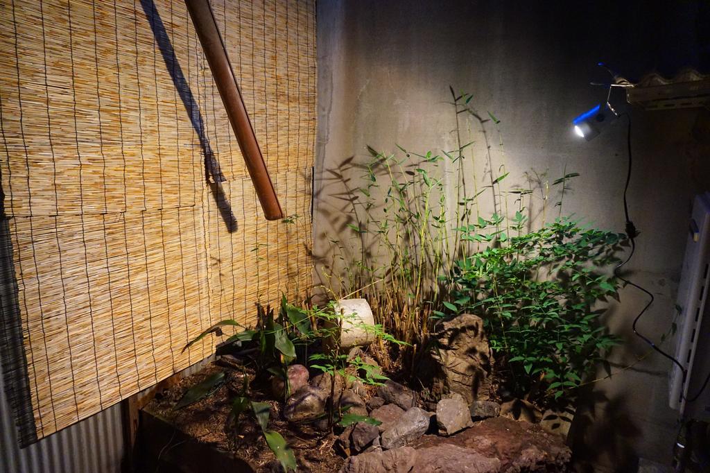 דירות Kyoto House מראה חיצוני תמונה